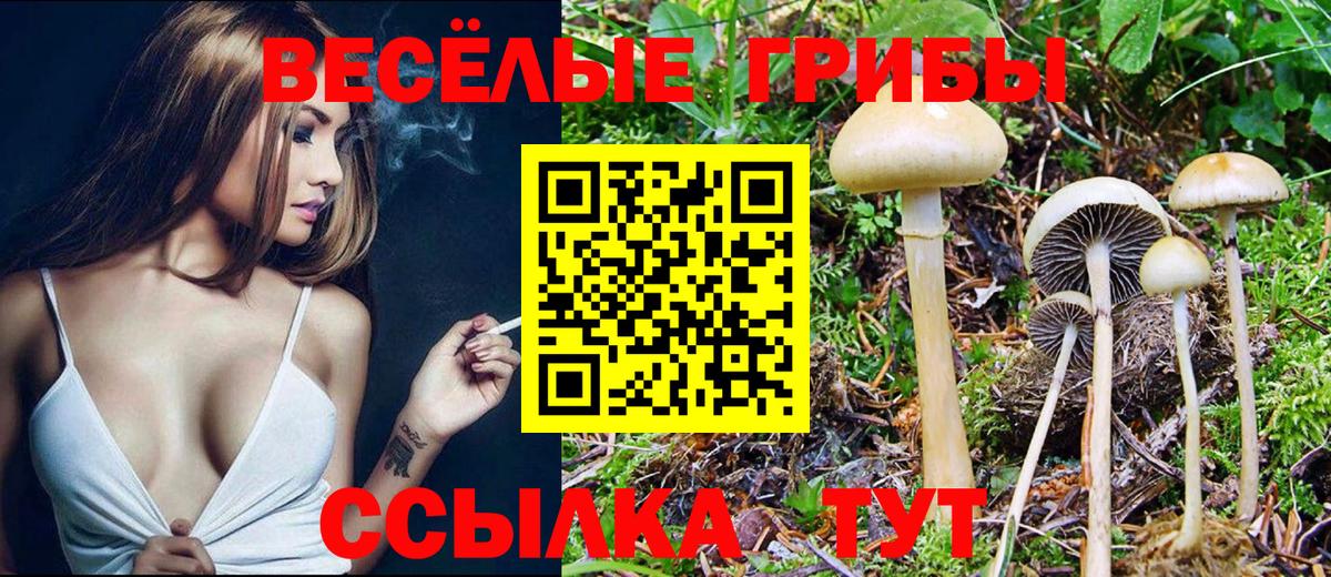 Псилоцибиновые грибы Magic Shrooms  Вход с VPN  Кызыл 