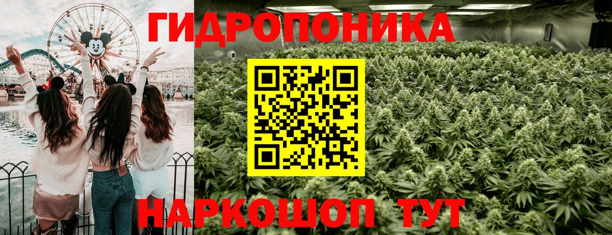 Конопля OG Kush  Конопля ГИДРОПОН  Вход с VPN  Канабис White Widow  Кызыл 